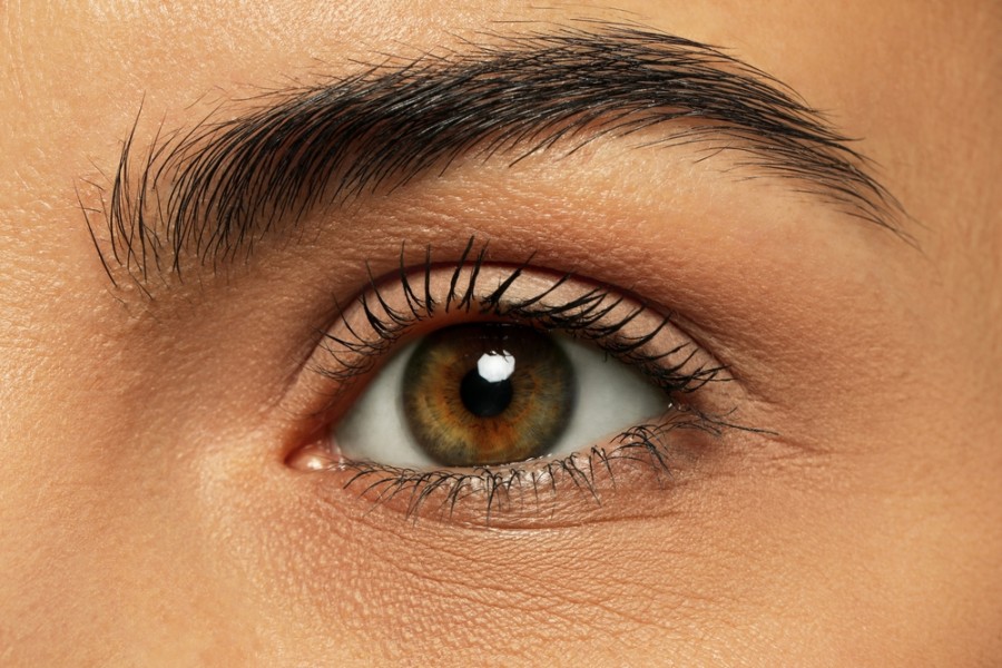 Comment s'appelle les yeux marron et vert ?