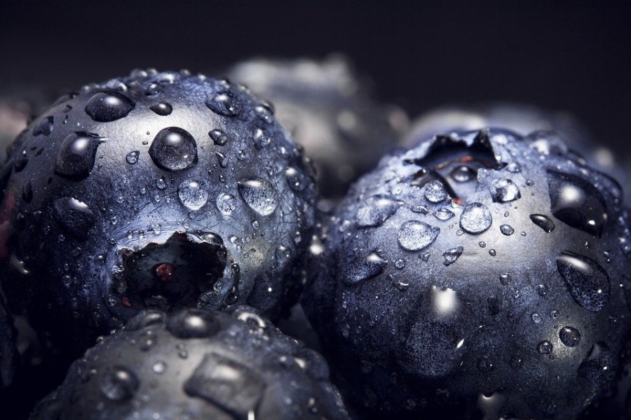 Les bienfaits beauté de l'eau de bleuet