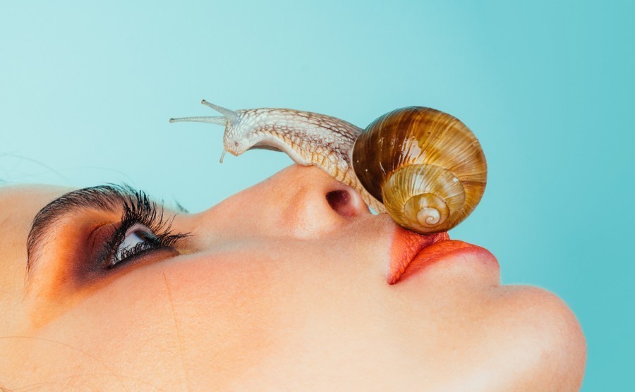 La bave d'escargot est-elle vraiment efficace ? La bave d'escargot est-elle vraiment efficace ?