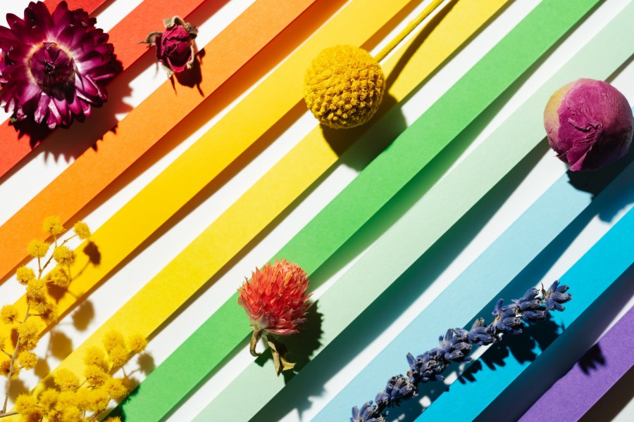 Quelle est la palette de couleur de la colorimétrie été ? Quelle est la palette de couleur de la colorimétrie été ?