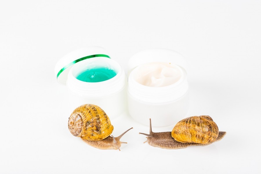Quels sont les bienfaits de la bave d'escargot pour la peau ? Quels sont les bienfaits de la bave d'escargot pour la peau ?