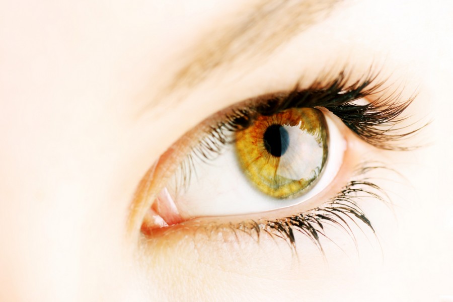 Quelle est la particularité des yeux noisette vert ?